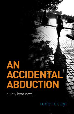 Book cover of An Accidental Abduction: A Katy Byrd Novel