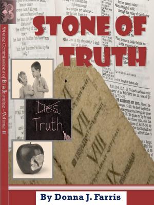 Cover of the book Stone of Truth by Ajmer Sidhu