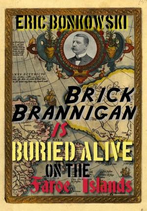 Book cover of Brick Brannigan is Buried Alive on the Faroe Islands!