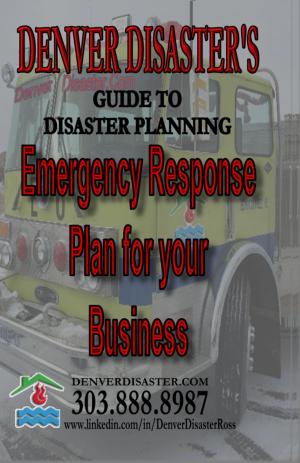 Cover of the book Denver Disaster’s Guide to Disaster Planning, Emergency Response Plan for your Business by Bolaji Ola-Adams