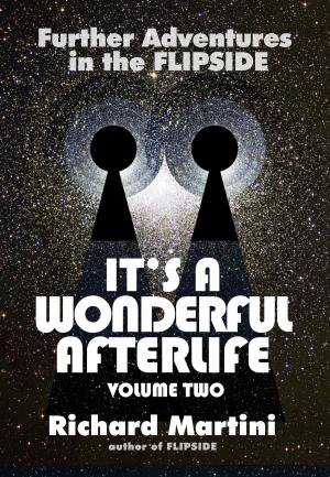 Cover of the book It's a Wonderful Afterlife: Further Adventures into the Flipside Volume Two by Katherine Ramsland, Mark Nesbitt