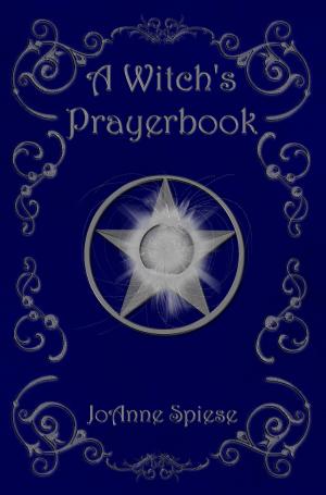 Cover of the book A Witch's Prayerbook by Steven Disney