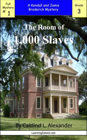 Cover of the book The Room of 1,000 Slaves: A Full-length Broderick Mystery by Cullen Gwin