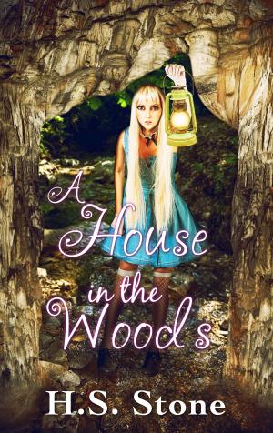 Book cover of A House in the Woods