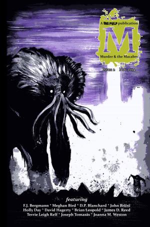 Cover of the book M Issue 2 by Vincent Zandri
