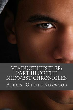 Cover of the book Viaduct Hustler: Part III of the Midwest Chronicles by Nikki Turner, 50 Cent