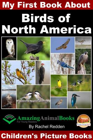 Cover of the book My First Book about Birds of North America by Dueep Jyot Singh