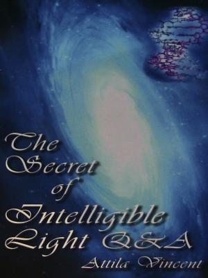 Book cover of The Secret Of Intelligible Light Q&A The Ultimate Q&A About Life