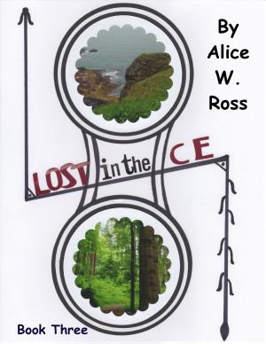 Book cover of Lost in the Ce