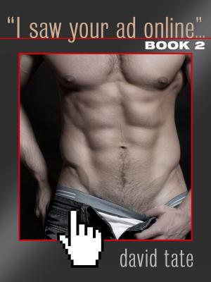 Cover of the book "I Saw Your Ad Online..." Book 2 by Chris Quinton