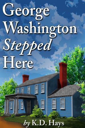 Cover of the book George Washington Stepped Here by Alice Duncan