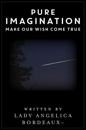 Book cover of Pure Imagination: Make Our Wish Come True