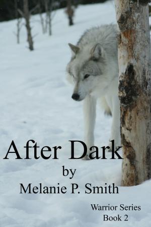 bigCover of the book After Dark: Warrior Series Book 2 by 