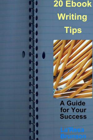 Book cover of 20 Ebook Writing Tips: A Guide for Your Success