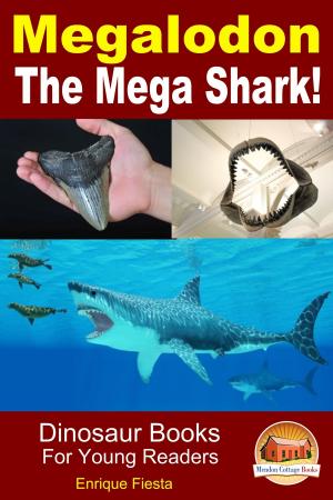 Cover of the book Megalodon: The Mega Shark! by Nichole Streeter, Erlinda P. Baguio