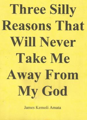 Cover of the book Three Silly Reasons That Will Never Take Me Away From My God by Mandi Keithley