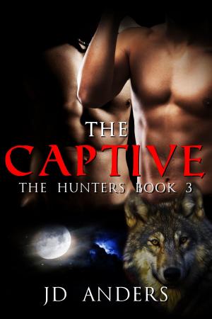 Cover of the book The Captive by Robin Watergrove