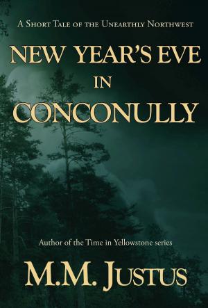 Book cover of New Year's Eve in Conconully