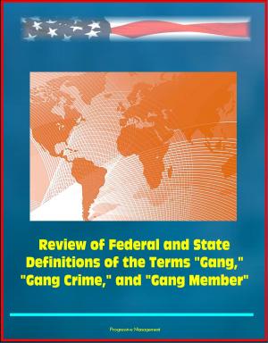 Cover of the book Review of Federal and State Definitions of the Terms "Gang," "Gang Crime," and "Gang Member" by Progressive Management