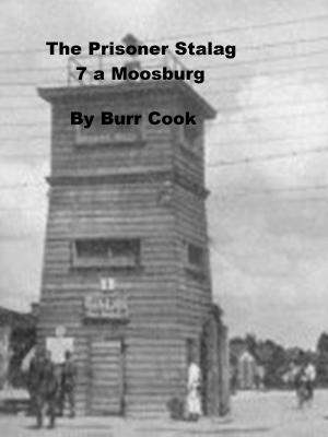 Book cover of The Prisoner, Stalag VIIA Moosburg