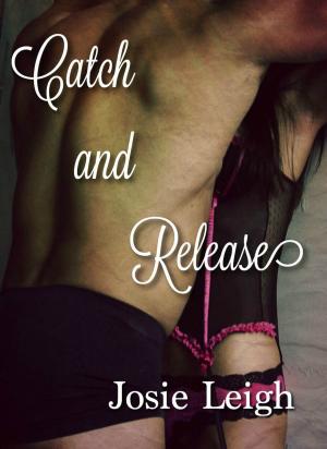 Cover of the book Catch and Release by Glynnis Campbell, Lauren Royal, Jill Barnett, Cynthia Wright, Cheryl Bolen, Annette Blair