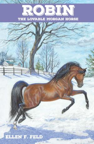 Cover of the book Robin: The Lovable Morgan Horse by Lis Clegg