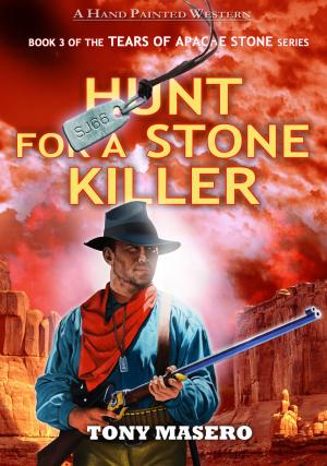 Book cover of Hunt for a Stone Killer