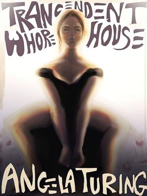 Book cover of Transcendental Whorehouse