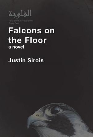 Cover of the book Falcons on the Floor by Susan Oleksiw