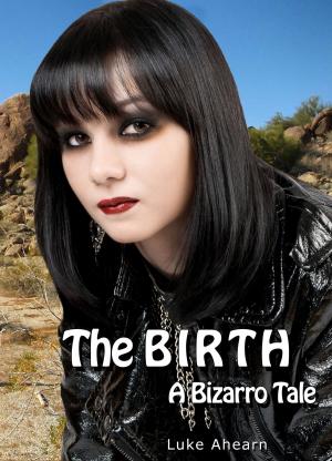 Cover of the book The Birth, A Bizarro Tale by RC Monson
