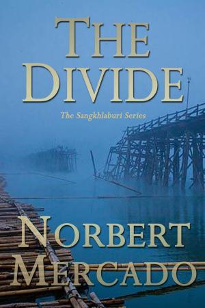 Cover of The Divide