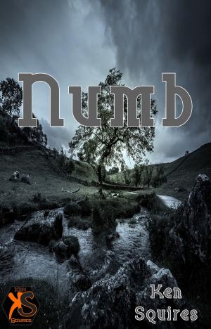 Cover of the book Numb by Jett White