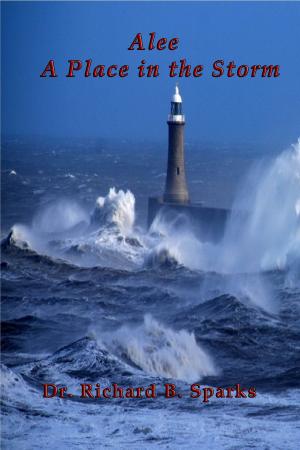 Book cover of Alee: A Place In The Storm