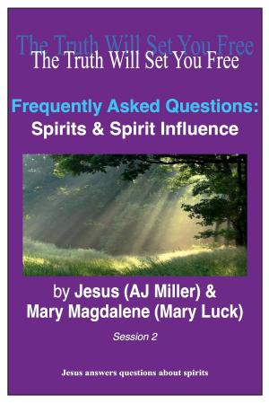 Book cover of Frequently Asked Questions: Spirits & Spirit Influence Session 2