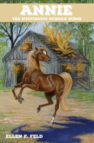 Cover of Annie: The Mysterious Morgan Horse