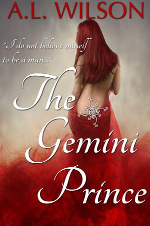 Book cover of The Gemini Prince