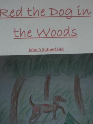 Book cover of Red the Dog in the Woods John A Sutherland