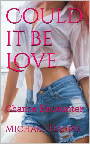 Cover of the book Could it be Love: Chance Encounter by Michelle Celmer
