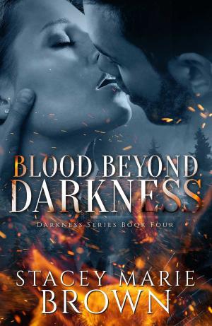Book cover of Blood Beyond Darkness (Darkness Series #4)