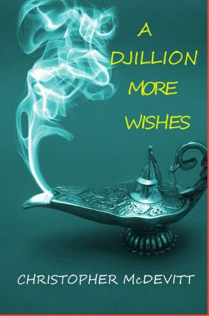 Cover of the book A Djillion More Wishes by L. A. Ecstacie