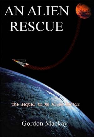 bigCover of the book An Alien Rescue by 