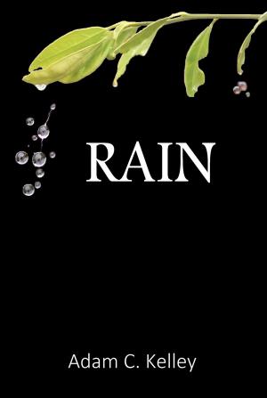 Cover of the book Rain by Kimolisa Mings