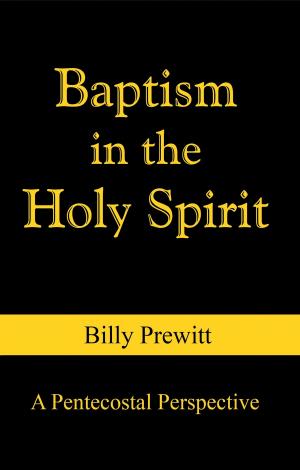 Cover of The Baptism in the Holy Spirit: A Pentecostal Perspective