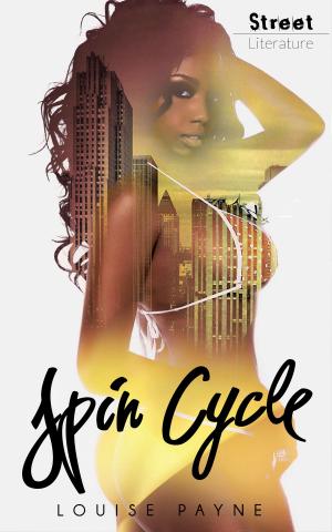 bigCover of the book Spin Cycle by 