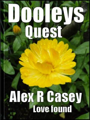 Cover of the book Dooley's Quest by Alex R Casey