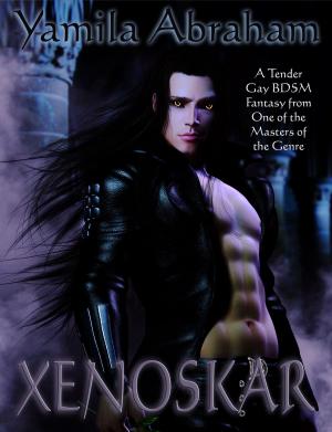 Cover of the book Xenoskar by Yamila Abraham