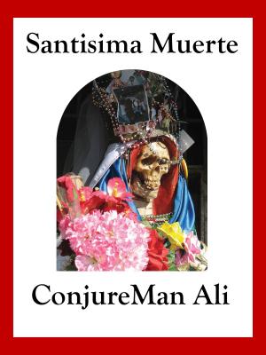 Cover of the book Santisima Muerte by Jamie Alexzander, Jake Stratton-Kent