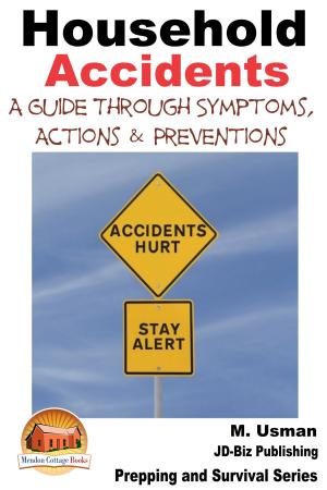 Book cover of Household Accidents: A Guide through Symptoms, Actions & Preventions