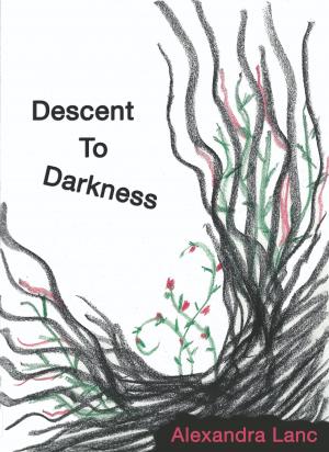 Cover of the book Descent To Darkness by Alexandra Lanc