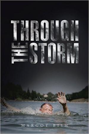 Book cover of Through The Storm